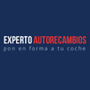 ExpertoAutorecambios logo